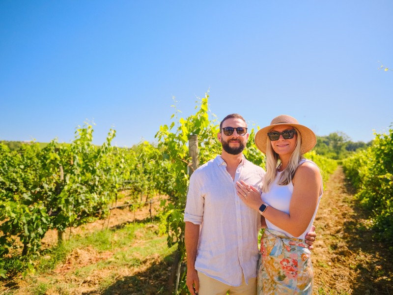 Chianti Vineyards Tour and Wine Tastings from Florence