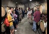 Explore the wine cellars