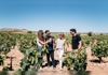 Tour a family-owned vineyard and winery